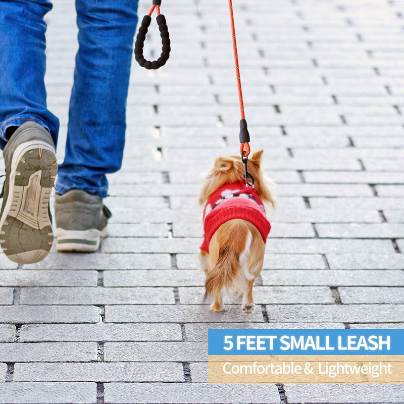 BAAPET 2/4/5/6 FT Dog Leash with Comfortable Padded Handle and Highly Reflective Threads for Small Medium and Large Dogs (5FT-1/3'', Red) - Image 5